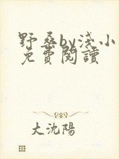 野桑by浅小说免费阅读