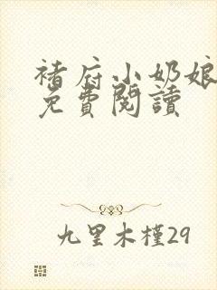 褚府小奶娘全文免费阅读