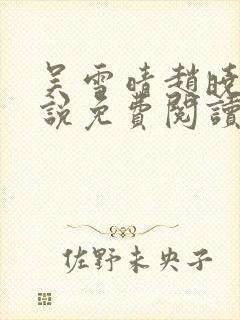 吴雪晴赵晓东小说免费阅读封面