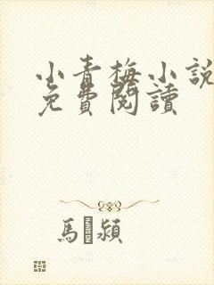 小青梅小说全文免费阅读封面