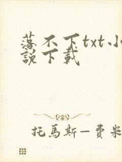 落不下txt小说下载封面