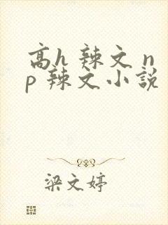 高h 辣文 np 辣文小说封面