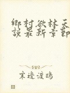 乡村欲林天成小说最新章节免费阅读全文