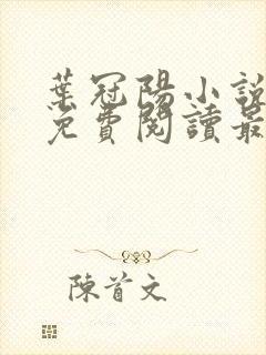 叶冠阳小说全文免费阅读最新章节