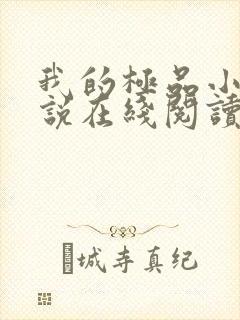 我的极品小姨小说在线阅读