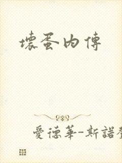 坏蛋内传