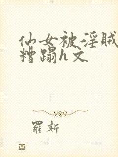 仙女被淫贼强行糟蹋h文封面