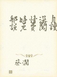 那时情深月明小说免费阅读