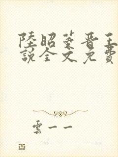 陆昭菱晋王的小说全文免费阅读