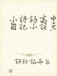 小诗的高中成长日记小说免费阅读封面