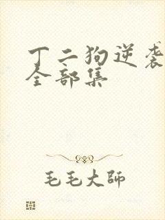 丁二狗逆袭人生全部集
