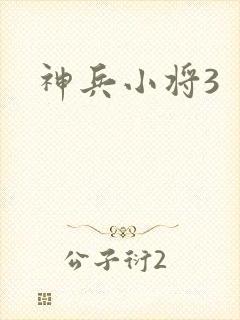 神兵小将3