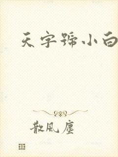 天字号小白脸