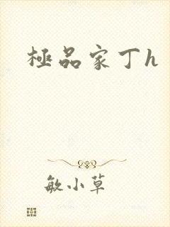 极品家丁h