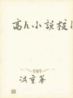 高h小说校园封面