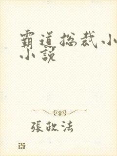 霸道总裁小娇妻小说封面