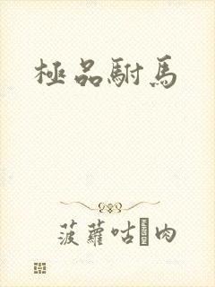 极品驸马
