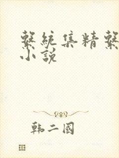 系统集精系统 小说封面