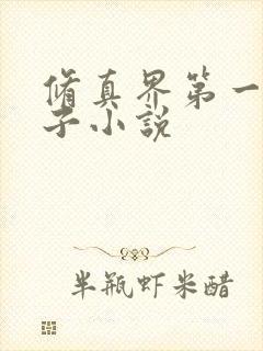 修真界第一病秧子小说封面