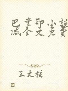 巴掌印小说无删减全文免费阅读封面