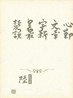 楚昊宇文心仪小说最新章节更新时间封面