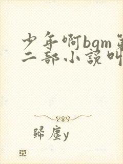 少年啊bgm第二部小说叫什么
