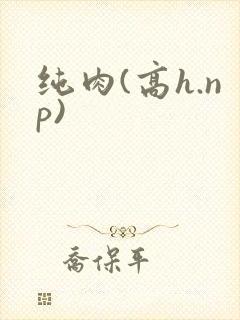 纯肉(高h.np)