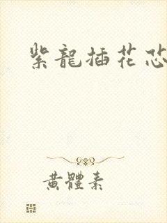 紫龙插花芯方正封面