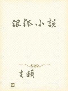 银狐小说