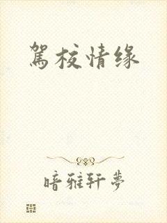 驾校情缘封面