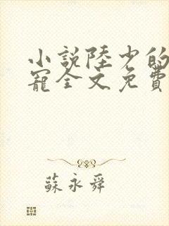 小说陆少的心尖宠全文免费阅读封面