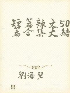 短篇辣文500篇合集大结局小说封面