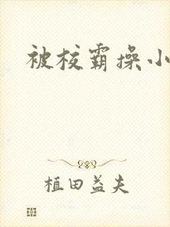 被校霸操小说