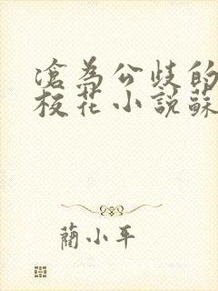 沧为公歧的清纯校花小说苏软软