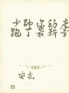 少帅你的老婆又跑了最新章节免费阅读