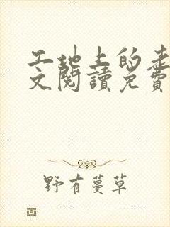 工地上的老婆全文阅读免费