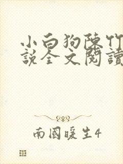 小白狗陈竹岚小说全文阅读免费