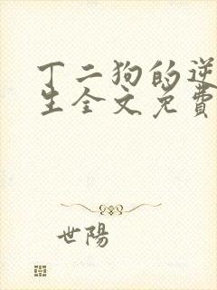 丁二狗的逆袭人生全文免费阅读