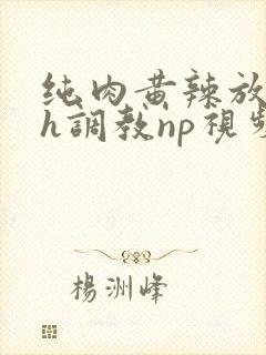 纯肉黄辣放荡高h调教np视频封面