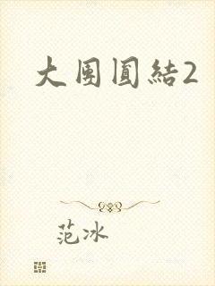 大团圆结2封面