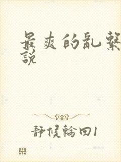 最爽的乱系列小说