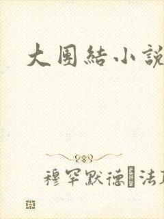 大团结小说阅读