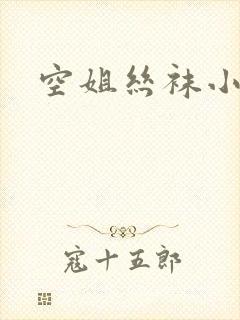 空姐丝袜小说