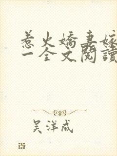 惹火娇妻嫁一送一全文阅读免费封面