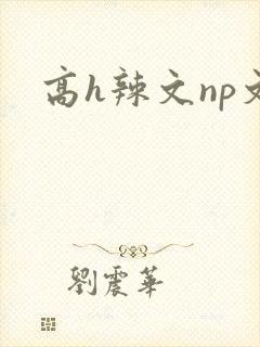 高h辣文np文