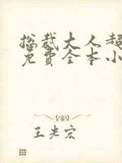 总裁大人超给力免费全本小说