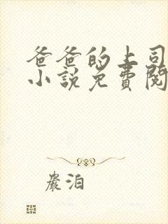 爸爸的上司王叔小说免费阅读