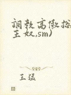 调教高傲总裁(主奴,sm)