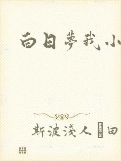 白日梦我小说