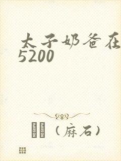 太子奶爸在花都5200